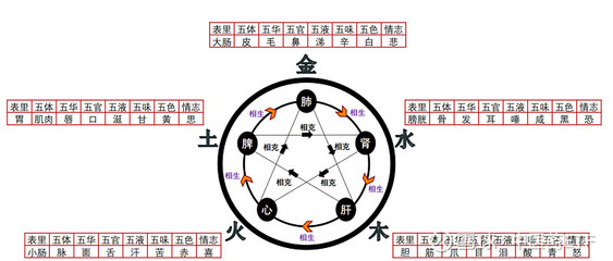 饮食行业五行属什么