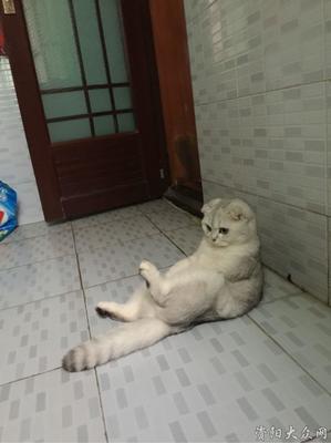 坐着脚麻是怎么回事