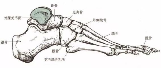 【干货】快速成就「高分速写」的必备技巧都在这里