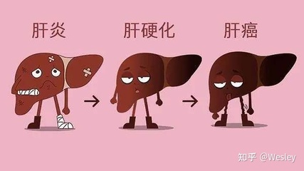 一直发低烧是什么原因