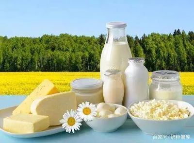 老年人吃什么奶粉补钙最好