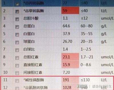 谷氨酰酶高是怎么回事