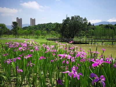 福州牛岗山公园在哪里