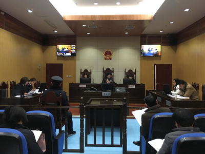 公益诉讼案件