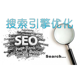 南沙区seo推广,推神网络,seo推广价格