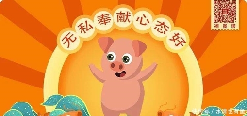 今期生肖不计较