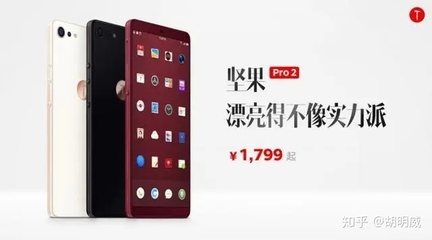 坚果pro口号是什么