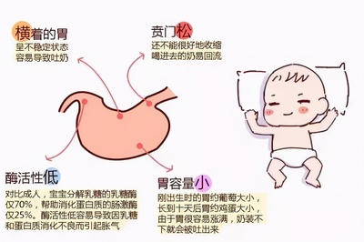 新生儿胃图片