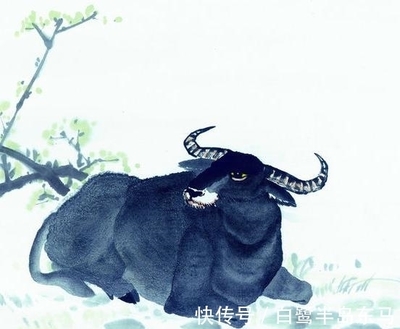 出谋划策的生肖