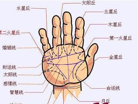 男左手婚姻线图解大全