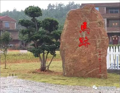 石头取名