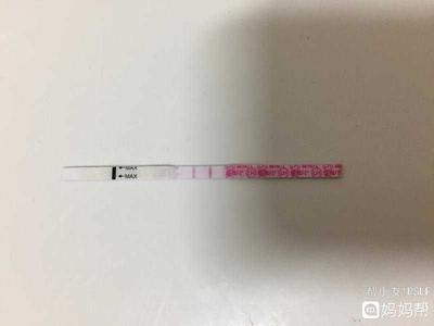 排卵期第几天白带拉丝