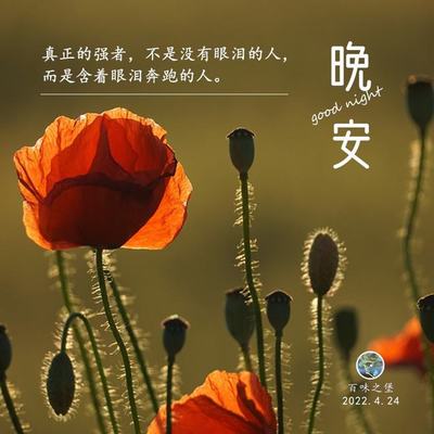 4月24日发生了什么