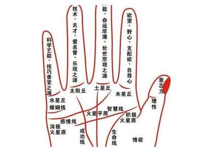 右手断掌女人命运好吗