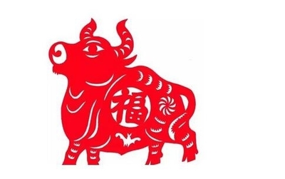 属鼠的和属牛的配吗