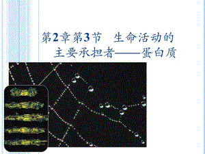 酒红卫衣配黑色裙子好看图片