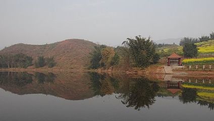 大学城湾咀头湿地公园