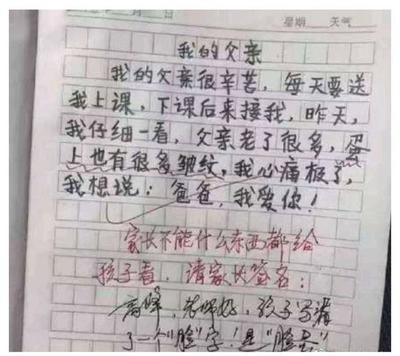 我的父亲小学二生作文怎么写