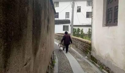梦见自己关门不让狗进
