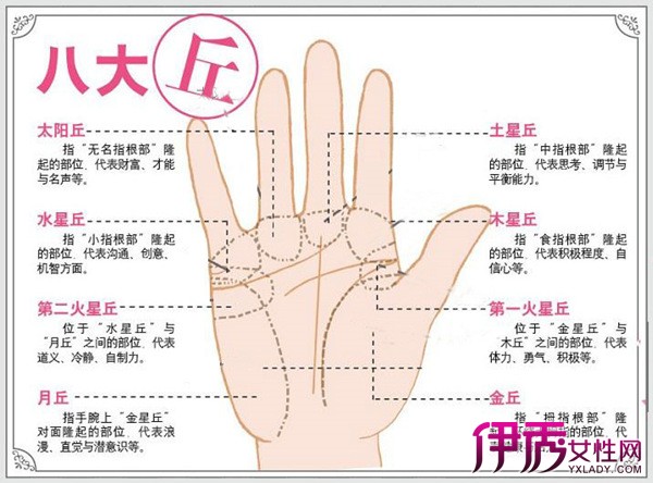 男手相婚姻线大全图解