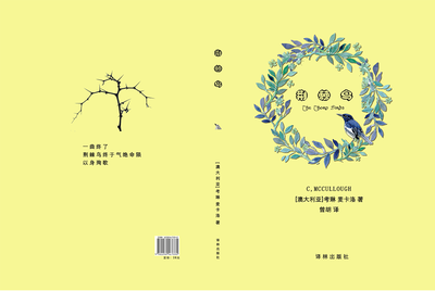 厨房通下水道的药水