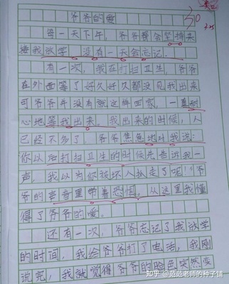 爷爷影响了我作文怎么写