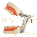 口腔模型工作原理