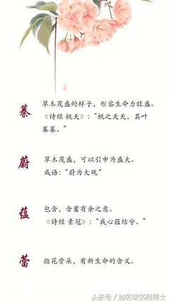 茗字五行属什么的