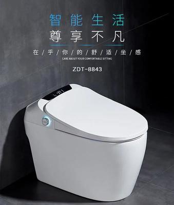 大慧智能马桶