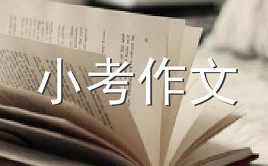 爱戴可以怎么造句