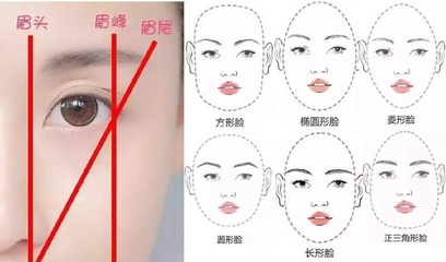脸型眉毛