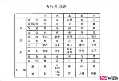 怎么看人的五行属性