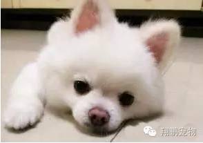 怎么治疗螨虫
