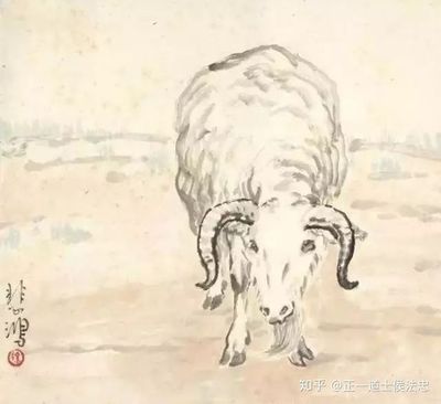 怀是什么生肖