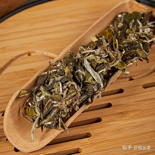 什么茶治咳嗽