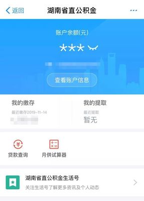 查贷款余额