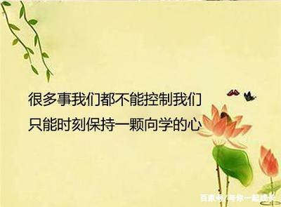 不埋怨不抱怨的句子