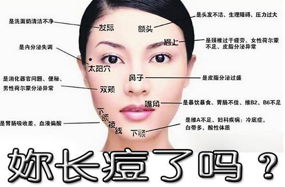 痘痘反射区