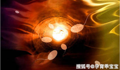 吞下精子会怀孕吗