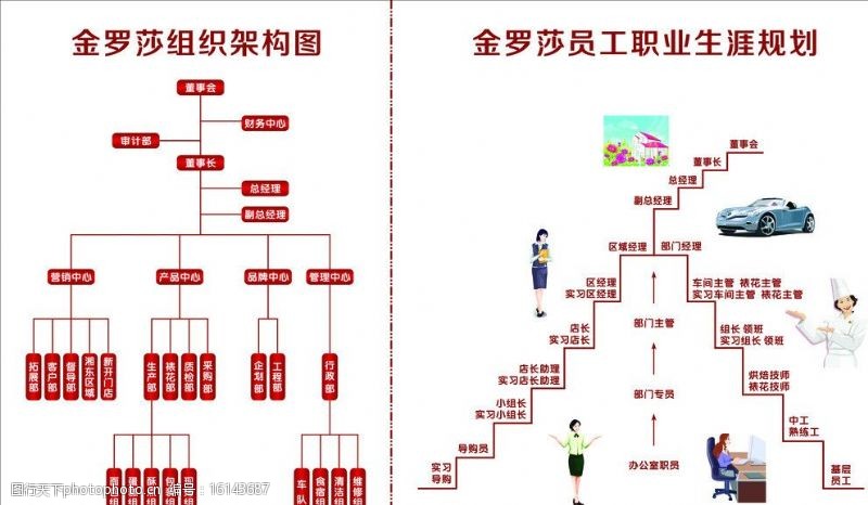 职业生涯线路怎么写