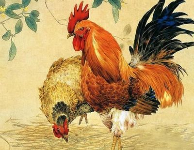 鸡属相年份