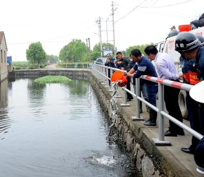 白化银龙鱼市场趋势（白化银龙鱼市场趋势如何，）