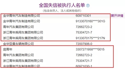 全国执行网信息查询