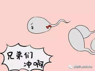 怎么样怀孕几率大