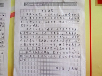 四年级社会实践作文300字怎么写