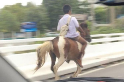 富源周边那里可以骑马