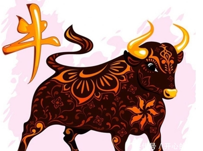 今年属牛的运气