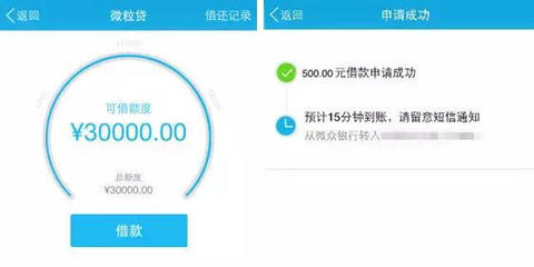 借款30000