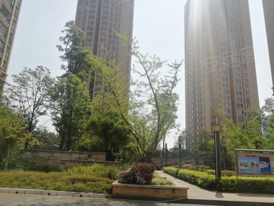 丽阳星城二期