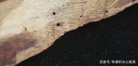 家具虫